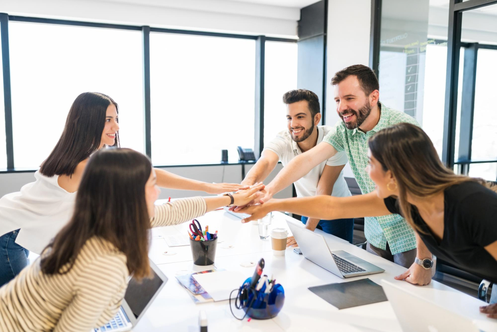 Due dilligence Datafisher
